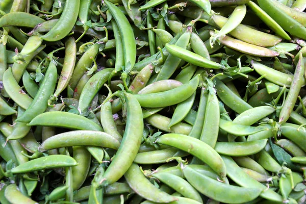 Свежий зеленый горох продается на рынке . — стоковое фото