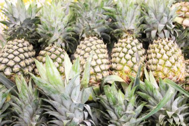 Market 1 'de satılan olgun büyük ananas meyveleri.