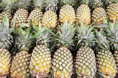 Market 2 'de satılan olgun büyük ananas meyveleri.