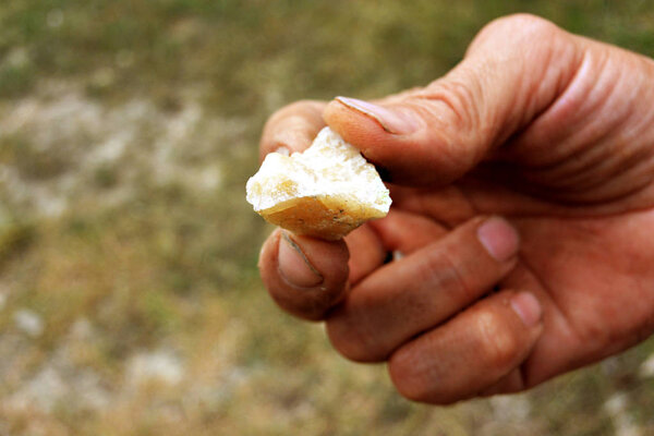 Honey-colored quartz druse in the hands of a miner