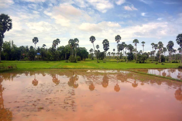 Paisaje del sudeste asiático en la temporada de lluvias 10, palmeras en la orilla — Foto de Stock