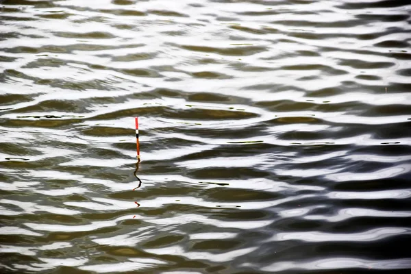 Pescatore rosso galleggiare sulla superficie dell'acqua — Foto Stock