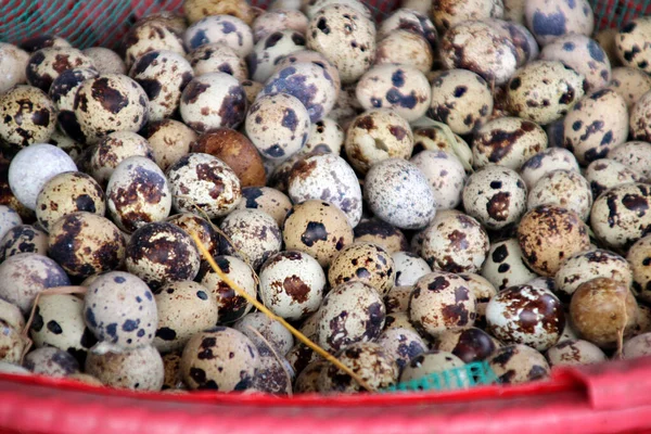 Œufs de caille frais panachés dans un panier rouge au marché — Photo