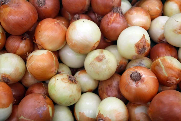 Fresh Orange White Onions Sold Market Пномпень Камбоджа — стоковое фото