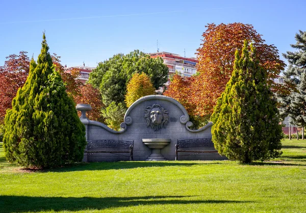 Torrejón Ardoz Madrid España 2019 Paisaje Otoñal Árboles Con Hojas —  Fotos de Stock