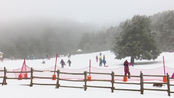 Puerto Cotos Paular Rascafria Madrid 2019 Personas Disfrutando Día Nieve — Vídeo de stock