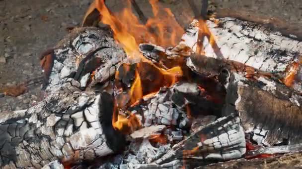 Tam Yanmalı Şenlik Ateşi Makroda Bir Sürü Kül Yakın Plan — Stok video