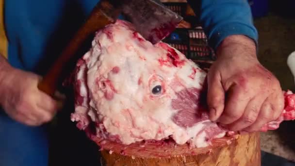 屠殺中に木の枝に斧で豚の頭蓋骨を開く労働者 — ストック動画