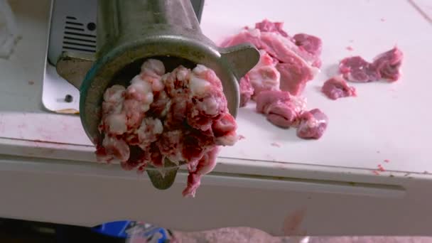 工人们在肉铺里放猪肉 然后再做香肠 — 图库视频影像