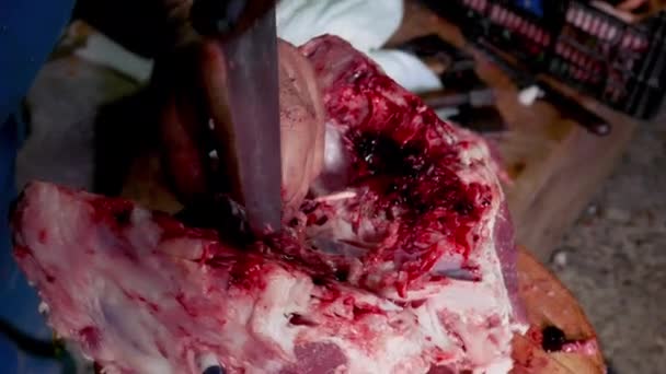 Makroaufnahme Eines Arbeiters Der Mit Einem Großen Messer Das Schädelinnere — Stockvideo