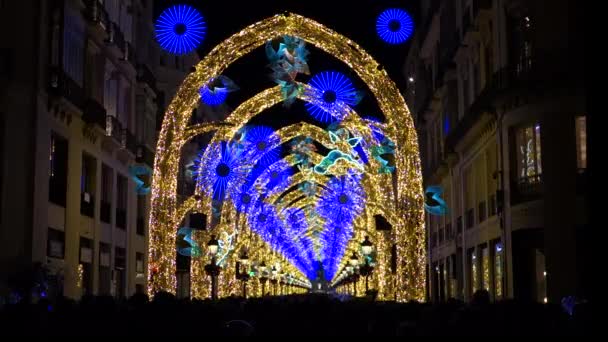 Rua Larios Málaga Espanha Com Muitas Luzes Que Fazem Parte — Vídeo de Stock