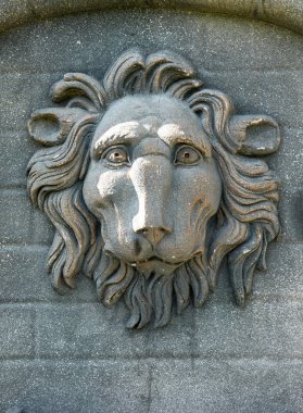 Torrejon de Ardoz, Madrid, İspanya; 10 / 26 / 2019; Aslan kafasının çeşmedeki süslemesinin ayrıntıları