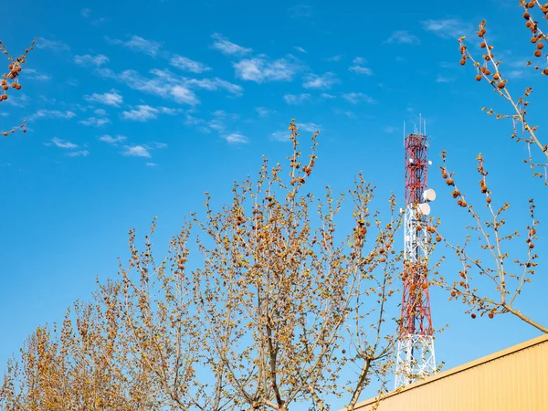 Rot Weiße Telekommunikationsantenne Ragt Zwischen Bäumen Und Industriegebäuden Hervor — Stockfoto