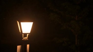 Arka planda ağaçlar ve toz ve polen lekeleri olan parkta yanan bir sokak lambasının 4K görüntüsü