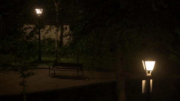 4K镜头 一个黑暗的公园在夜晚 有一个空的长椅 两个灯柱和树 — 图库视频影像