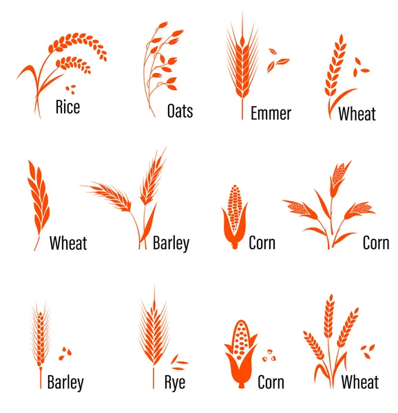 Cereals icon set with wheat. — Stock Vector