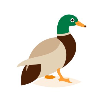 Düz bir tarzda güzel ördek.