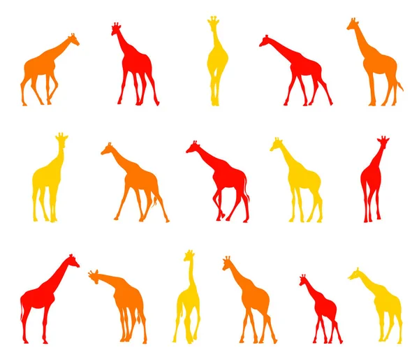 Silhouettes de girafes . — Image vectorielle