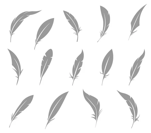 Conjunto vectorial de plumas . — Archivo Imágenes Vectoriales