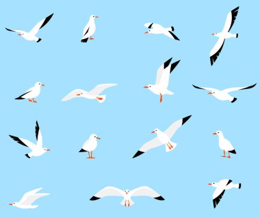 Vector set of beautiful seagulls. clipart