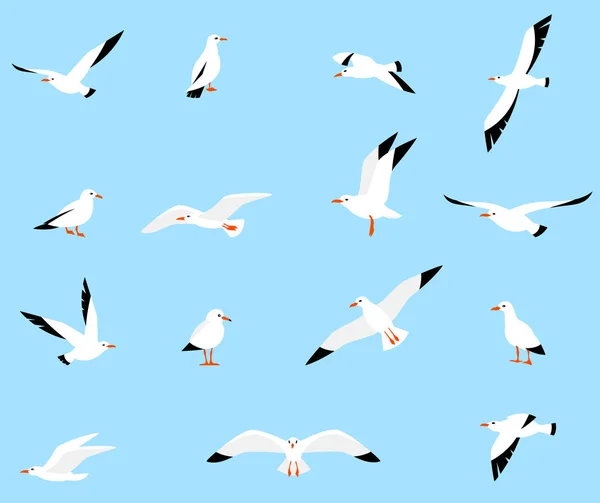 Vector set of beautiful seagulls. — Stock Vector