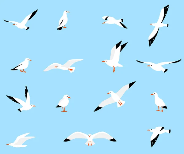 Conjunto vectorial de hermosas gaviotas . — Archivo Imágenes Vectoriales