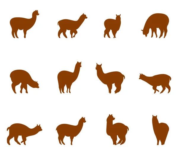 Alpaca en llams emblemen collectie. — Stockvector