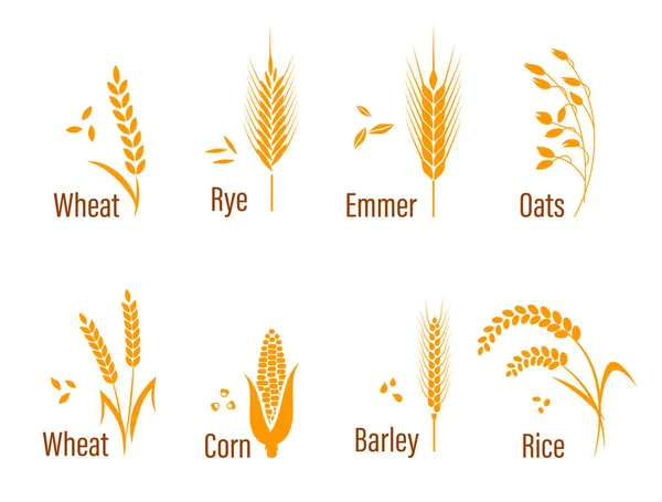 Set di icone per cereali . — Vettoriale Stock