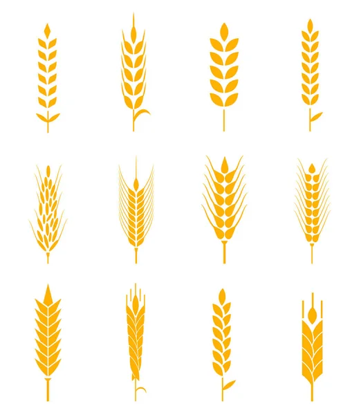 Ears of wheat bread symbols. — Stock Vector
