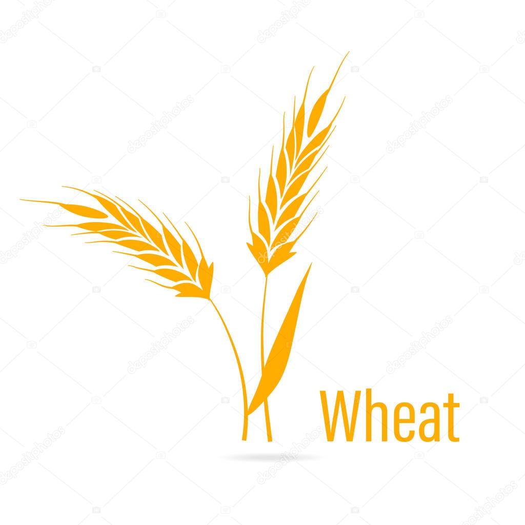 Gluten free icon. Ears of Wheat.