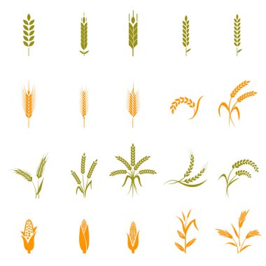 Buğday kulak veya pirinç Icons set.