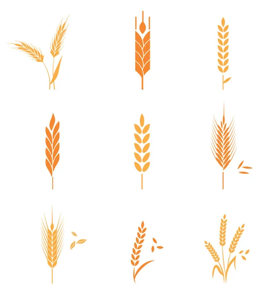 Cereals icon set with wheat. — Stock Vector