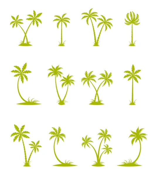 Serie di sagome vettoriali di palme . — Vettoriale Stock