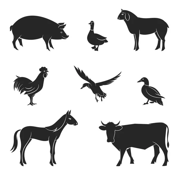 Silhouettes of livestock. — Stock Vector