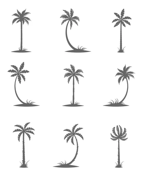 Zwarte silhouetten van palmbomen. — Stockvector