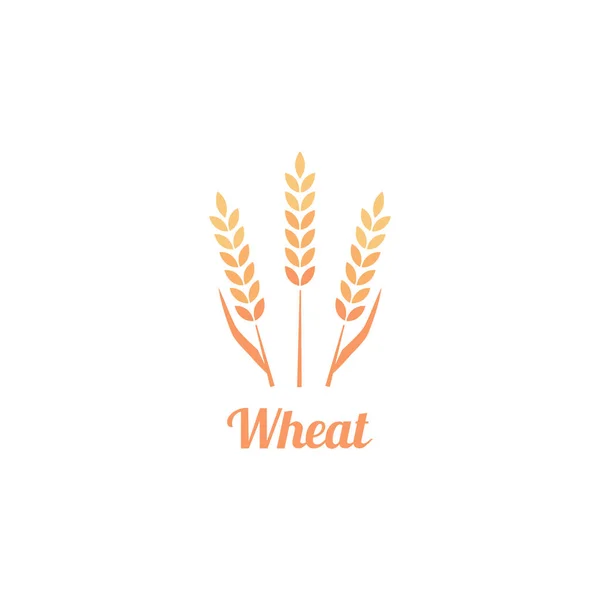 小麦とパン屋さんのロゴ バッジ. — ストックベクタ