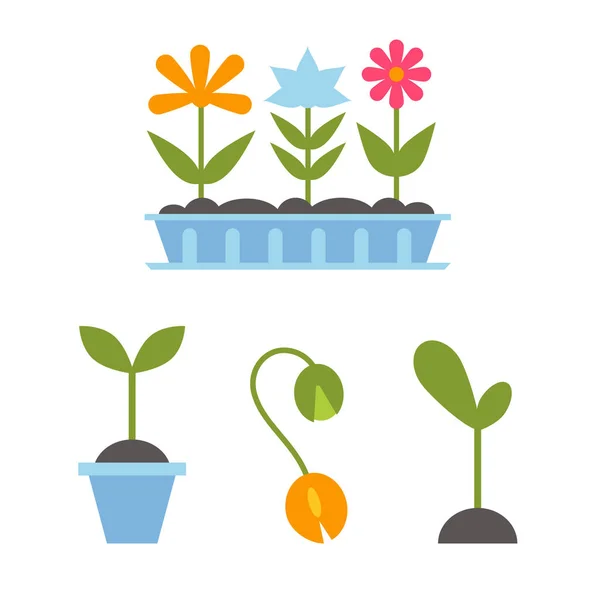 Spring plants in pots. — Stock Vector