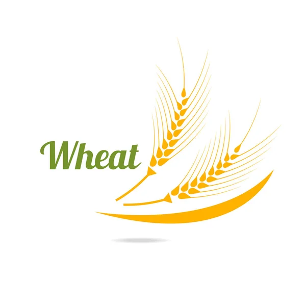 Logo sjabloon met tarwe. — Stockvector