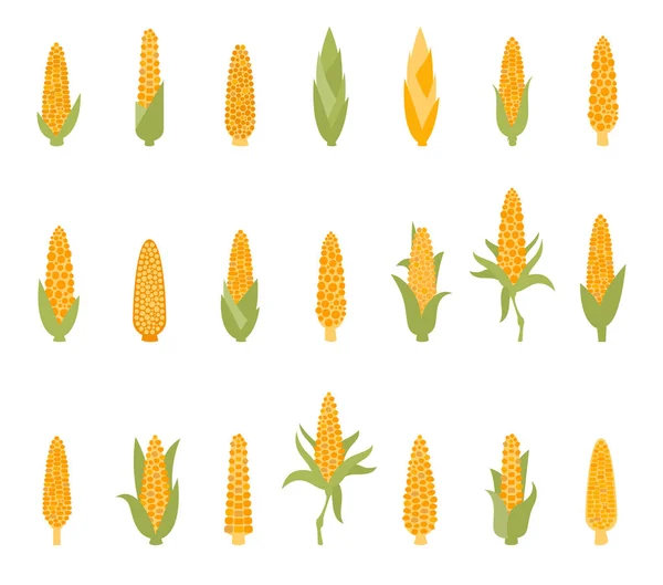 Set of corn with green leaves. — Stock Vector