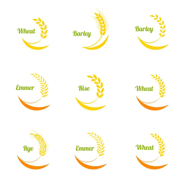 Conjunto de iconos de espigas de trigo vector . — Vector de stock