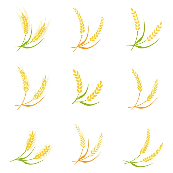 Kulak spike logo rozet simge buğday izole vektör. — Stok Vektör
