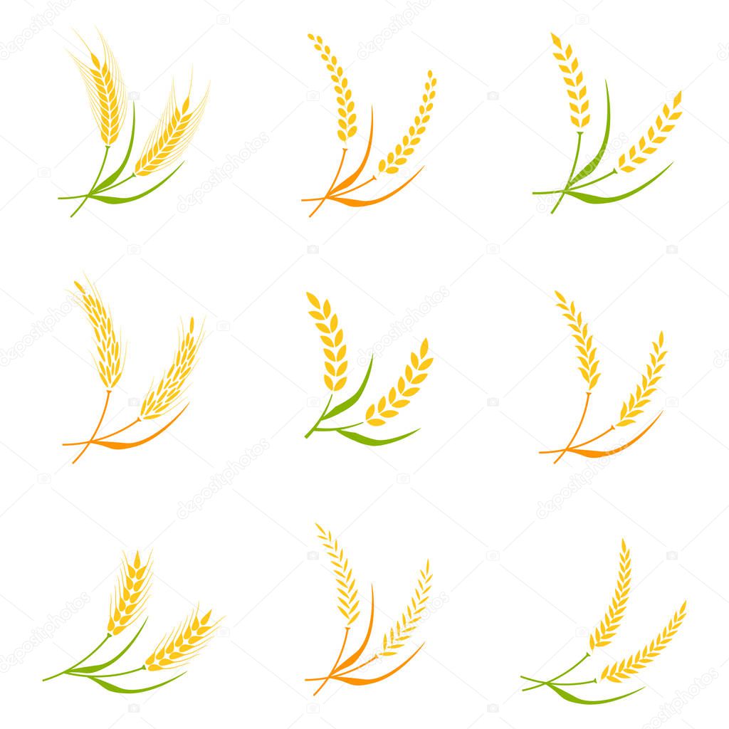 Ear spike logo badge icon wheat isolated vector.