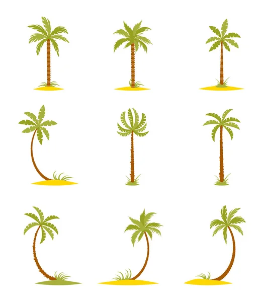 Set of colored palms in a flat style. — Stock Vector