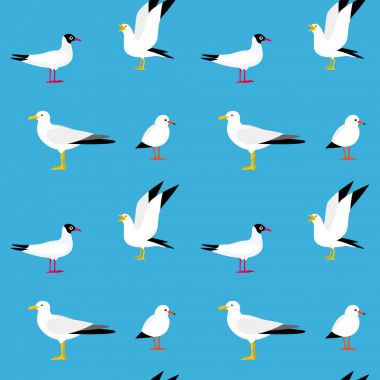 Deniz seamless modeli.