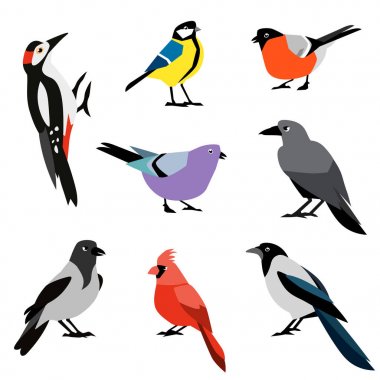 Kış kuşlar kümesi. Düz tasarım vektör kuşlar Icon set.