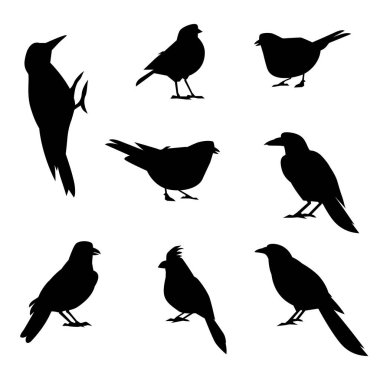 Bir dizi kış kuş silhouettes.