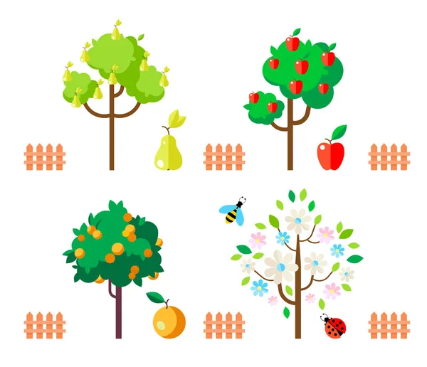 Árboles frutales manzana, pera, naranja, árbol con flores . — Vector de stock