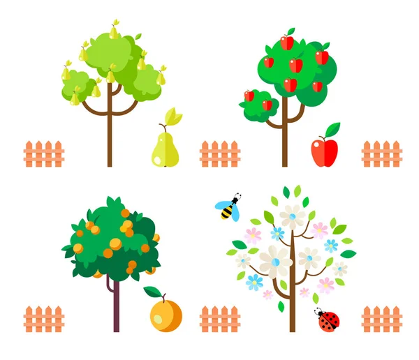 Fruit trees apple, pear, orange, flowering tree. — Stock Vector