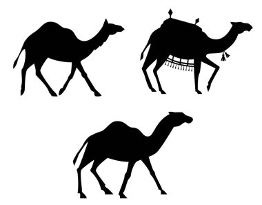 Camel siluetleri.