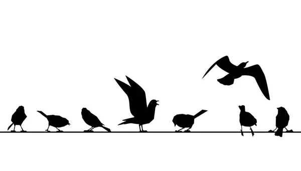 Gefiederte sitzen an Drähten. Vektorsilhouetten von Vögeln isoliert auf weißem Hintergrund. — Stockvektor